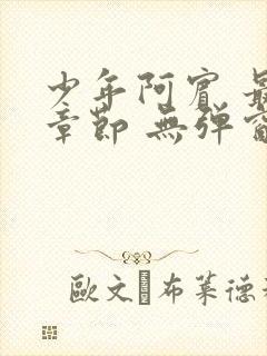 少年阿宾 最新章节 无弹窗 笔趣阁