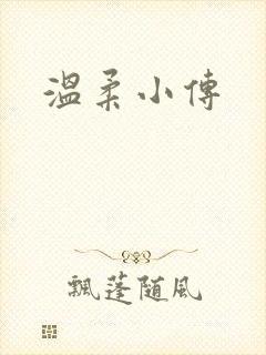 温柔小传封面