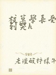 校草学长受被做到哭h封面