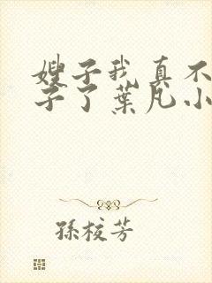 嫂子我真不是傻子了叶凡小说.txt