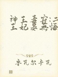 神王毒宠:二嫁王妃晏无悔凤九霄
