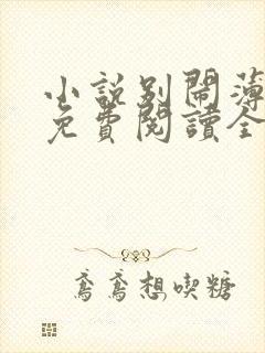 小说别闹薄先生免费阅读全文无窗口