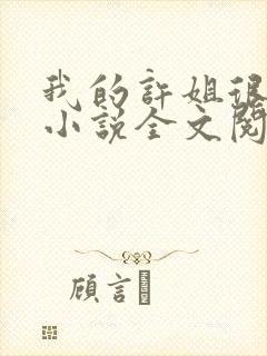 我的许姐很温柔小说全文阅读