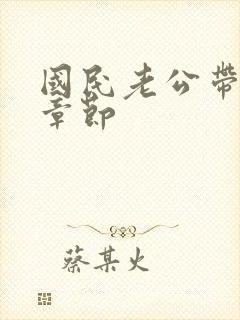 国民老公带回家章节封面