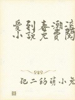 爱到春潮滚滚来小说免费阅读封面