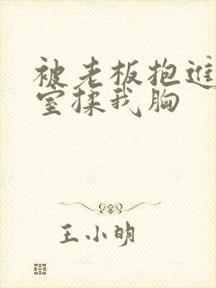 被老板抱进办公室揉我胸