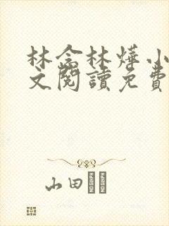 林念林烨小说全文阅读免费