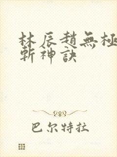 林辰赵无极九天斩神诀