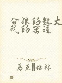 公狼的粗大挺进我的密道