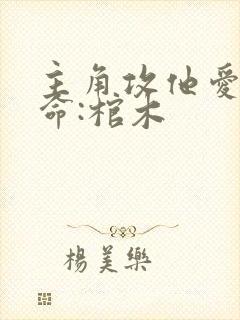 主角攻他爱我如命:棺木