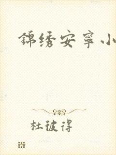 锦绣安宁小说