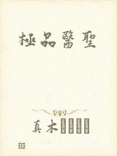 极品医圣