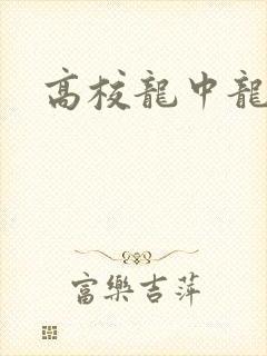 高校龙中龙