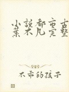 小说都市古仙医叶不凡完整版