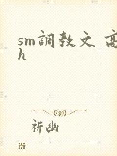 sm调教文 高h