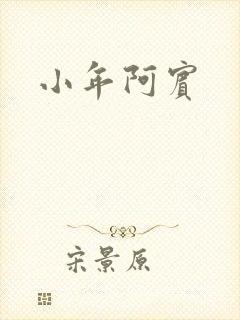 小年阿宾封面