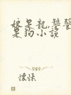 娘是龙,饕餮不是狗小说