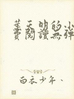 叶天明的小说免费阅读无弹窗