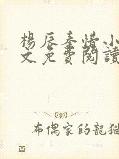 杨辰秦惜小说全文免费阅读无弹窗