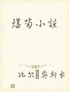 爆菊小说