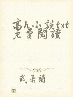 高h小说txt免费阅读