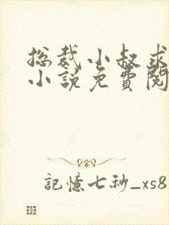 总裁小叔求放过小说免费阅读全文