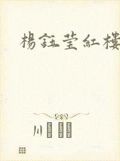 杨钰莹红楼封面