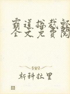 霸道总裁轻轻爱全文免费阅读封面