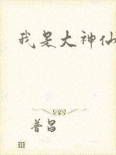 我是大神仙小说封面