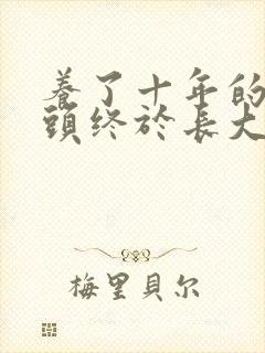 养了十年的小丫头终于长大了