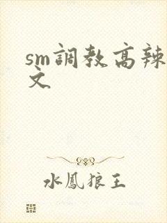 sm调教高辣h文