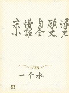 宋惜月顾浔渊的小说全文免费阅读