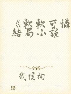 《软软可怜》大结局小说封面