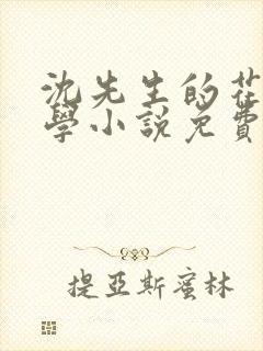 沈先生的花式教学小说免费
