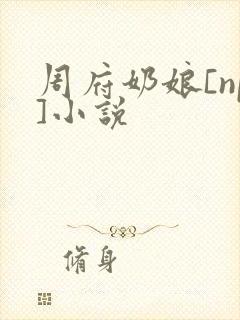 周府奶娘[np]小说