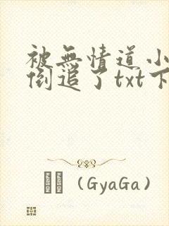被无情道小师弟倒追了txt下载