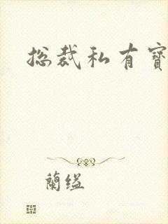 总裁私有宝贝