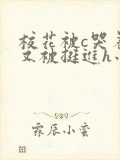 校花被c哭着爬又被挺进h小说封面
