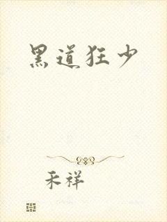 黑道狂少封面