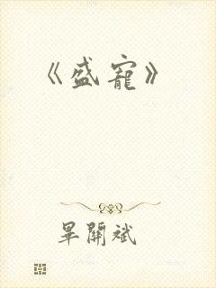 《盛宠》封面