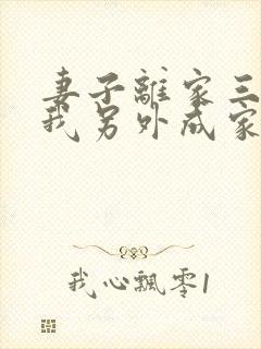 妻子离家三年,我另外成家了小说免费阅读