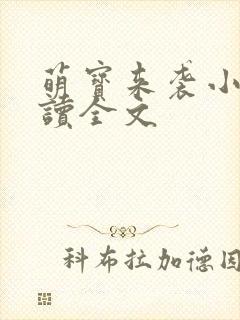 萌宝来袭小说阅读全文封面