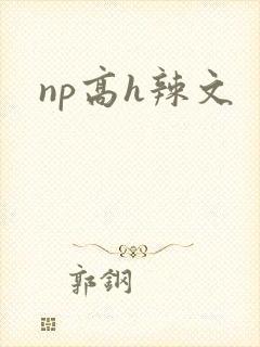 np高h辣文