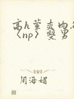 高h荤爽肉欲文〈np〉双男