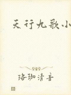 天行九歌小说