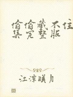 偷偷藏不住25集完整版