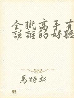 全职高手有声小说谁的好听