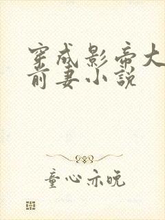 穿成影帝大佬的前妻小说