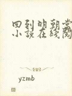 回到明朝当王爷小说在线阅读