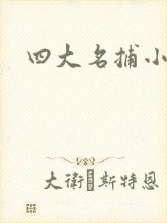 四大名捕小说